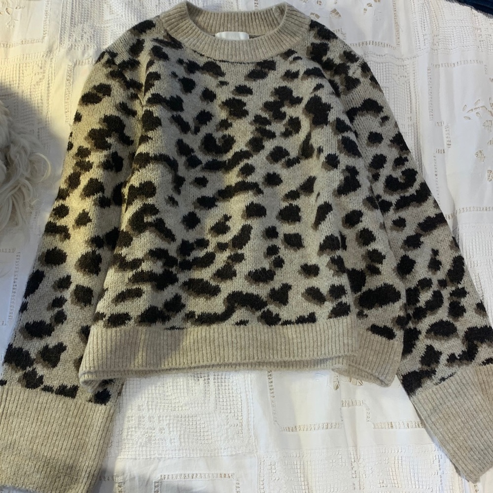 H&M Leopard Print Sweater